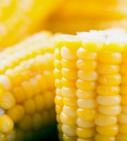 电饭煲清蒸甜玉米