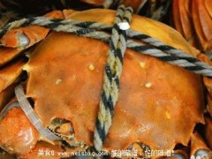 怎样识别正宗“阳澄湖牌”大闸蟹