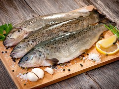 冻鱼保鲜保营养吗?