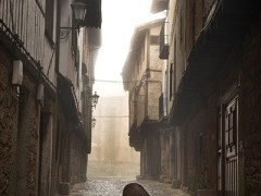 西班牙火腿制作全程 腌制前生猪散养吃橡子