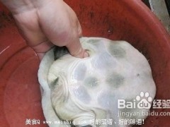 甲鱼怎么杀？简单的杀王八(团鱼or鳖)的方法！