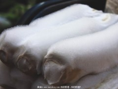 毛豆腐是什么，毛豆腐好吃吗？