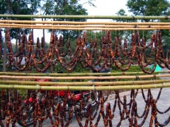 边走边吃，浙江东部的美食聚会！