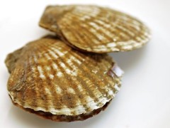 教你挑年货 餐桌上的鲜活海鲜