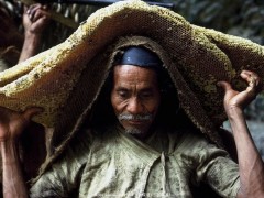 为了那口甜食-喜马拉雅峭壁上的尼泊尔采蜂者