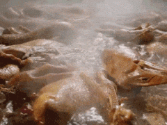 可以说这就是中国卤菜界的天花板