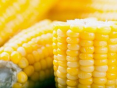 电饭煲清蒸甜玉米