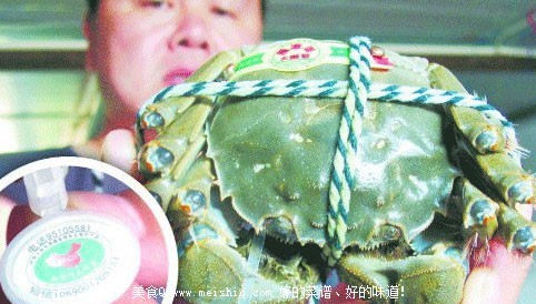 怎样识别正宗“阳澄湖牌”大闸蟹