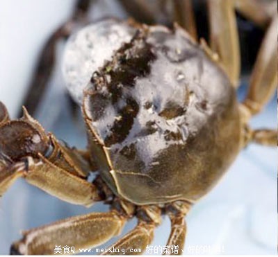 教你怎样挑选大闸蟹。