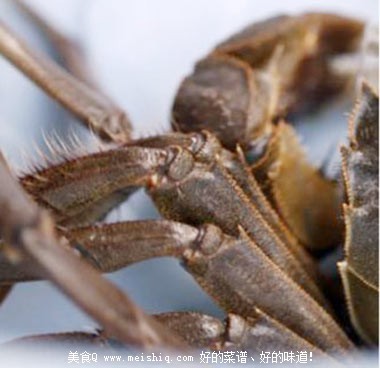 教你怎样挑选大闸蟹。