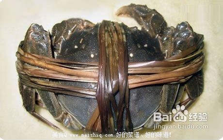 教你如何保存大闸蟹、买回家的大闸蟹应该怎样处理？