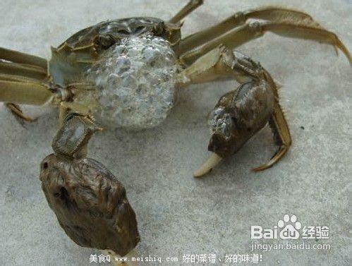 大闸蟹的食用注意事项！