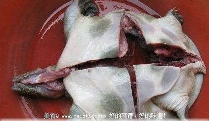 甲鱼怎么杀？简单的杀王八(团鱼or鳖)的方法！