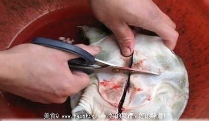 甲鱼怎么杀？简单的杀王八(团鱼or鳖)的方法！