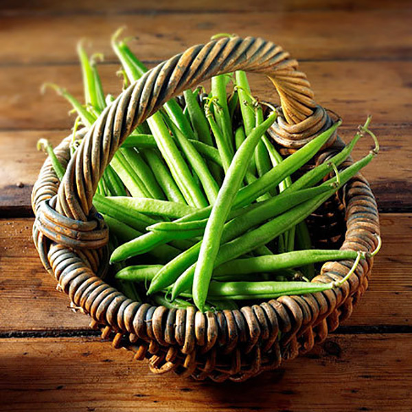 凉拌或油炸四季豆易中毒