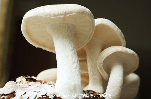 吃方便面会中毒?谨慎13种易引起中毒的美食