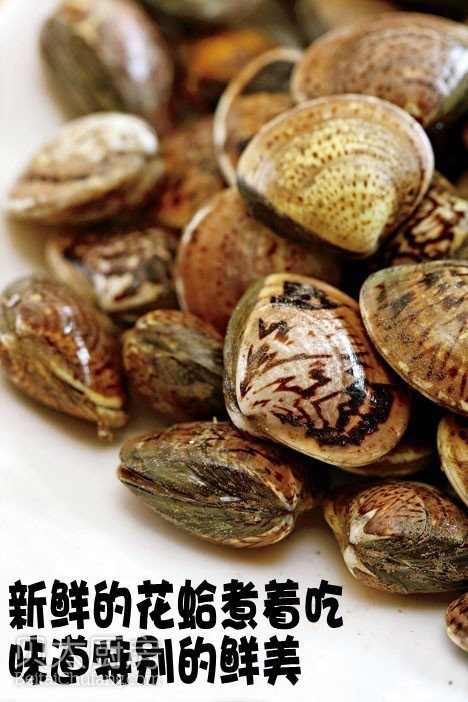 教你挑年货餐桌上的鲜活海鲜