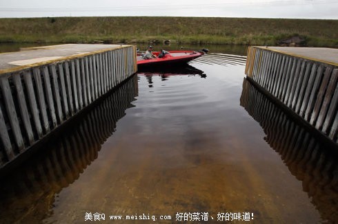 让美国伤透脑筋的中国黑鱼