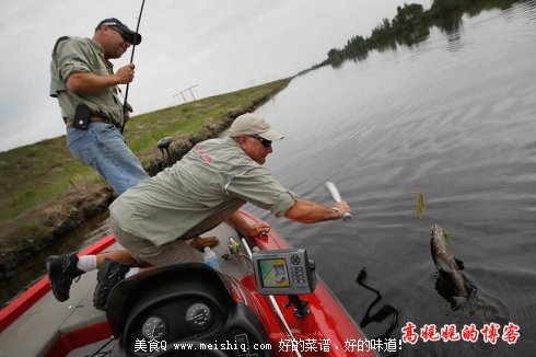 让美国伤透脑筋的中国黑鱼