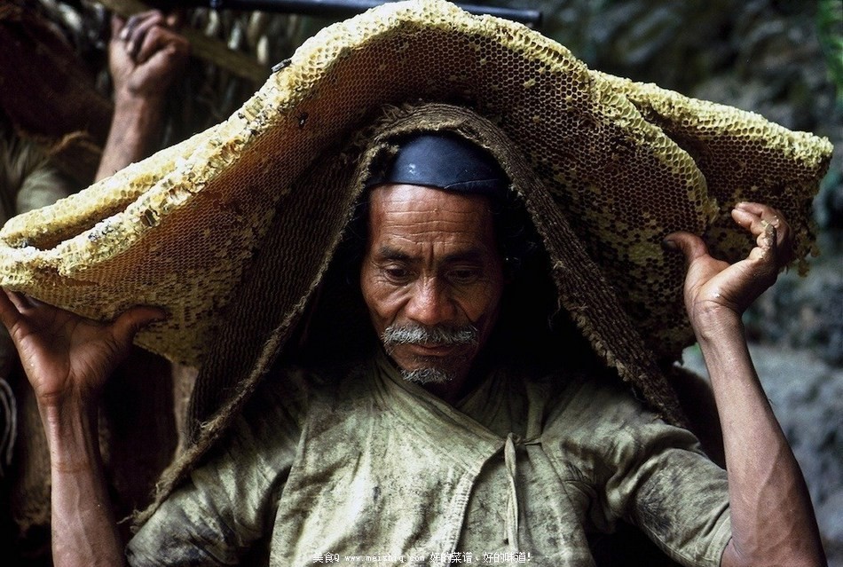 为了那口甜食-喜马拉雅峭壁上的尼泊尔采蜂者