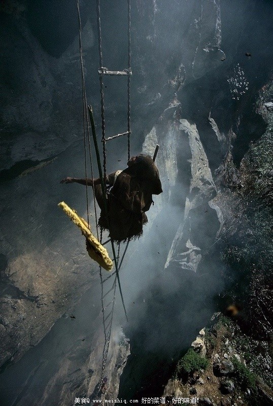 为了那口甜食-喜马拉雅峭壁上的尼泊尔采蜂者