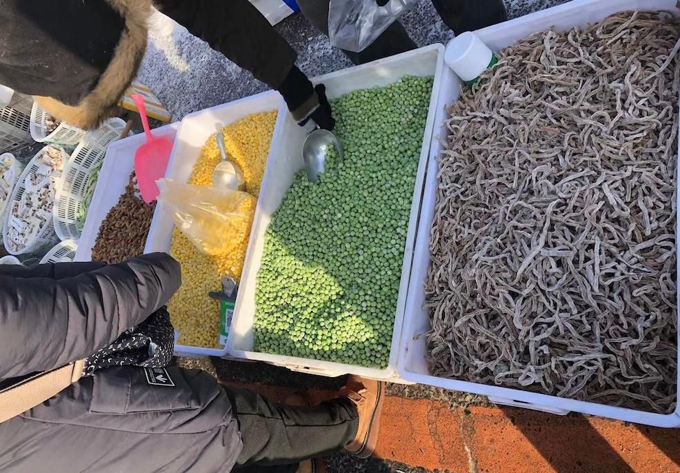 东北的年味有多浓，赶一次大集就懂了。