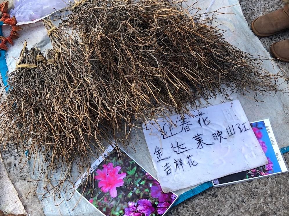 东北的年味有多浓，赶一次大集就懂了。