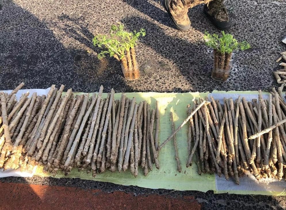 东北的年味有多浓，赶一次大集就懂了。