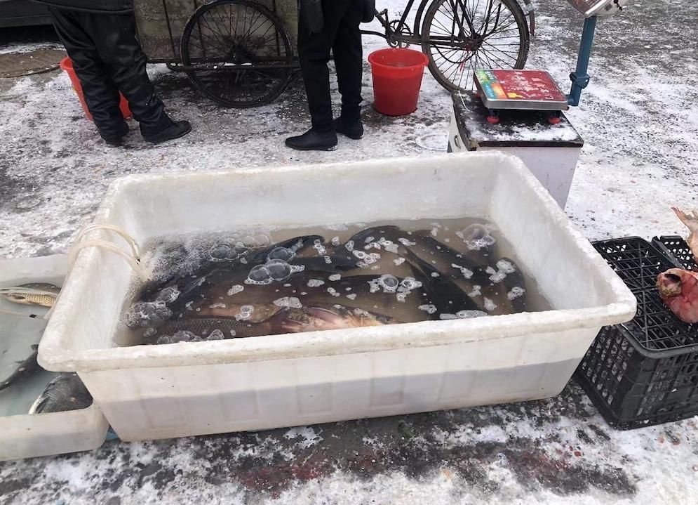 东北的年味有多浓，赶一次大集就懂了。