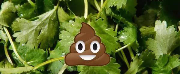 你不吃香菜？那我们分手吧！